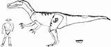 Baryonyx Jurassic Raptor sketch template