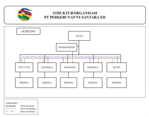 bagan organisasi pt perkebunan nusantara xii