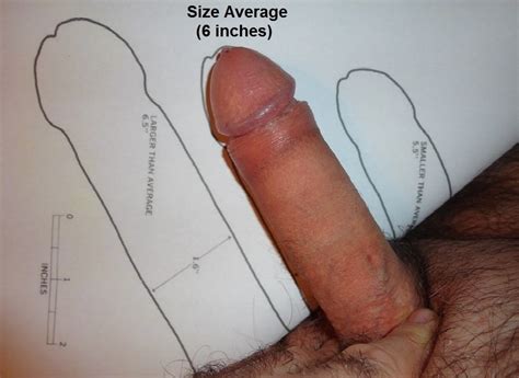 penis size table 29 pics xhamster