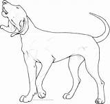 Coonhound Bluetick sketch template