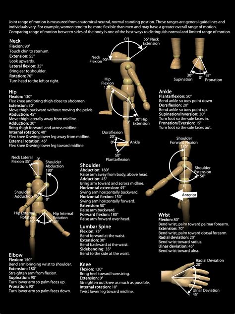 joint range  motion degree chart real bodywork