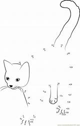 Cat Dots Connect Dot Cute Worksheet Kids Online Pdf sketch template