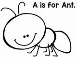 Hey Ant Asd Asd2 sketch template