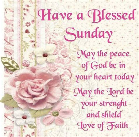 pin  judiann   days  week blessed sunday happy sunday quotes