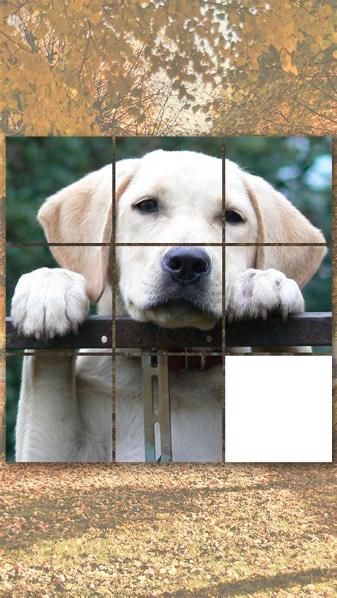 cute doggy gamesdog puzzles matching pairs dog pictures dogs barking sounds