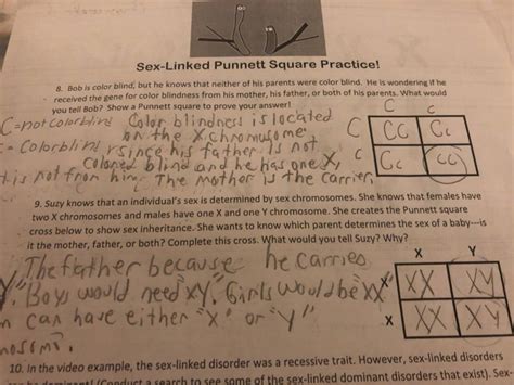 Solved Sex Linked Punnett Square Practice 8 Bob Is Colo