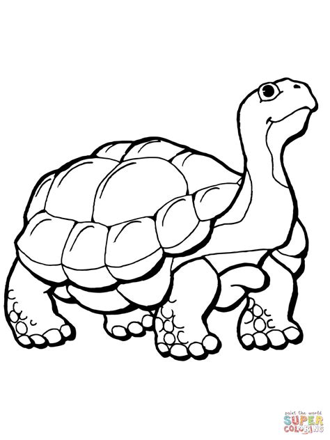 tortoise coloring page  printable coloring pages