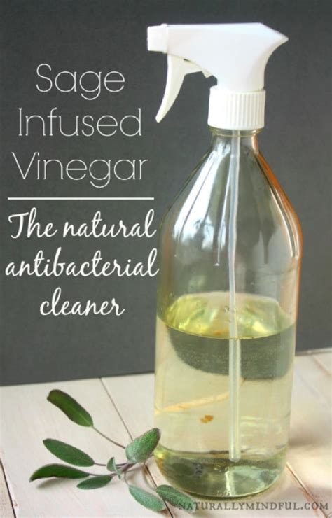 How To Make Sage Natural Antibacterial Cleaner Homestead