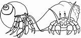 Coloring Crab Hermit Children Fun Pages Cartoon Original sketch template