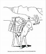 Coloring Donkey Farm Animal Printable Pages Print Carries Load Heavy sketch template