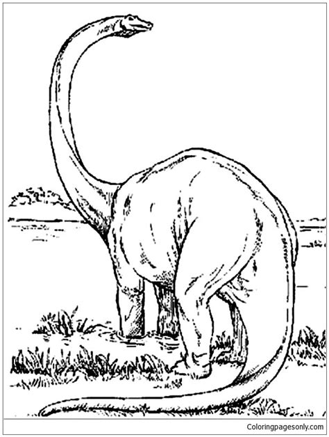 amazing dinosaurs brachiosaurus coloring page  printable coloring