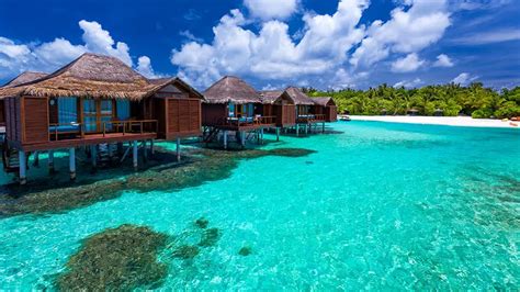 maldives overwater bungalows   options   water