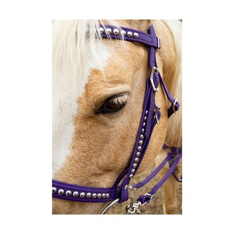 horse western bridle  sale  horse tack
