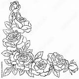 Border Coloring Rose Flowers Frame Book Vector Contour Bud Branch Elements Leaf Pattern Stock sketch template