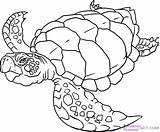 Coloring Sea Turtle Leatherback Pages Getcolorings sketch template