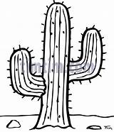 Cactus Coloring Saguaro Cactuses Timtim Getdrawings Sahara Clipartmag Bw Vectors Colorear sketch template