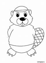 Beaver Beavers Coloringpage sketch template