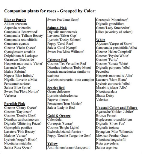 sample companion planting chart templates