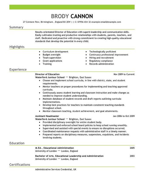 director resume   professional resume writing service