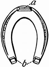 Horseshoe Horse Shoe Clipart Drawing Cliparts Template Etc Cartoon Library Clipartbest Horseshoes Popular Getdrawings Clipartmag Large Coloring Coloringhome sketch template