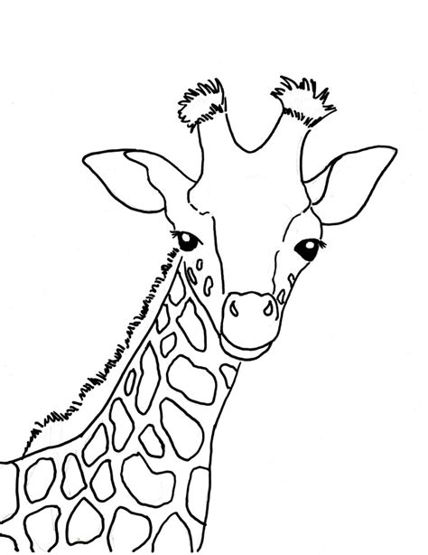 lets guffaw enticing giraffe coloring sheet   work