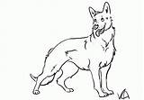 Shepherd German Coloring Pages Dog Drawing Line Shepard Drawings Puppy Print Kids Color Printable Dogs Puppies Sheets Animal Kindergarten Popular sketch template