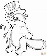 Coloring Marmot Hat Pages Cartoon Printable Supercoloring Color sketch template