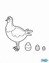 Gallina Huevos Poule Hellokids Paques sketch template