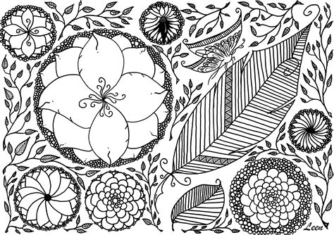 printable spring coloring pages  adults  spring pictures