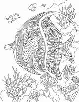 Angelfish Animaux Mandalas Erwachsene Animal Fish Animales Malvorlagen Coloriages Zentangle Malen Páginas Adulte Magique Poisson Marins Mangala Dificiles Enfant Laminas sketch template