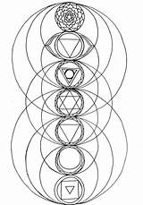 Chakras Mandala Mandalas Ausmalbilder Lebens Blume Malbücher Heilige Geometrie sketch template