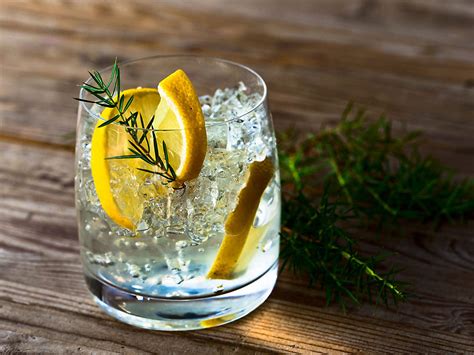 interesting uses and benefits of gin that will surprise you the times