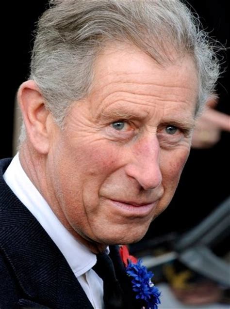 prince charles  alzheimers disease hubpages