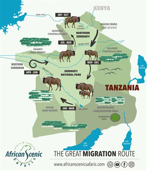 serengeti wildebeest migration excursions activities packages