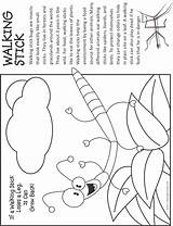 Stick Coloring Walking Bug Fact Makingfriends Pages Bugs Insects Insect Color Kids Activities Girl Preschool Badge Scouts Choose Board Brownie sketch template