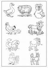 Ferme Vache Coloriages Dessiner Dessins Lapin sketch template