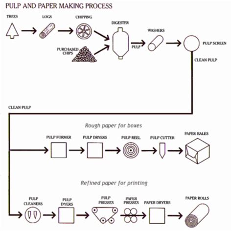 process  making pulp  paper diagram writing task  answers