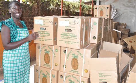 rwanda imported packaging materials   struck  tax exempt list allafricacom