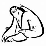 Sloth Faultier Malvorlage Malvorlagen Kostenlos Ausmalbild Q1 ähnliche Kategorien sketch template