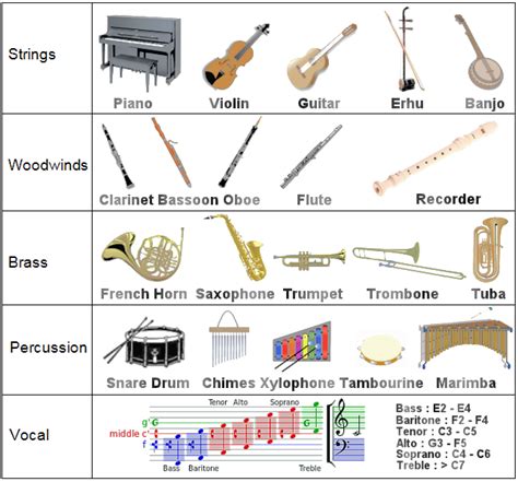 types  musical instruments