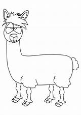 Llama Kolorowanki Ausmalbilder Dzieci Llamas Imprimer Ludinet Alpaca Coloriages Wydruku Momjunction Bestcoloringpagesforkids Peruvian Kategorien sketch template