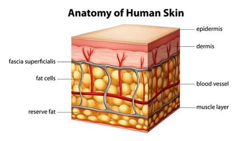 skin works dermahealth laser skin care clinic