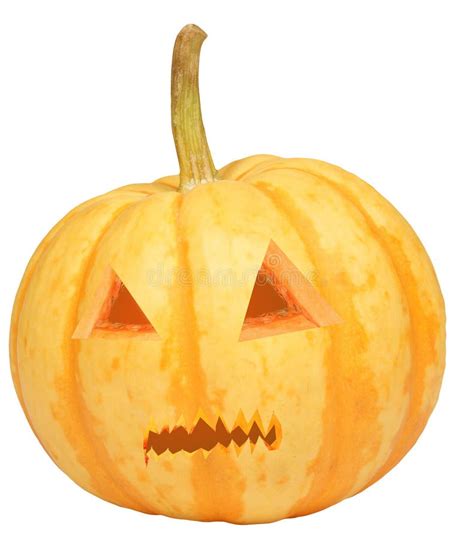 halloween pumpkin stock photo image  november october