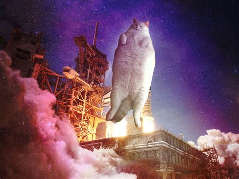 hook up your desktop with one of these awesome cats in space wallpapers caveman circus