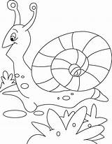 Snail Coloring Pages Animals Drawing Leaving Cocktail Printable Gary Kids Kb Getdrawings sketch template