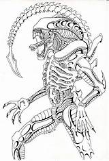 Xenomorph Drawing Coloring Pages Alien Predator Easy Drawings Aliens Vs Draw Movie Template Printable Sketch Deviantart Paintingvalley Tattoo Stuff Adult sketch template