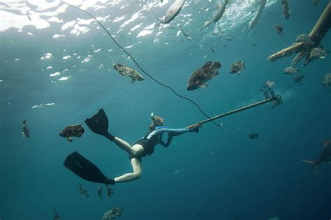 A Female Diver In Flippers Shoots Photograph By Chris Ross