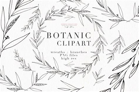 botanical clipart botanical print greenery eucalyptus olive art
