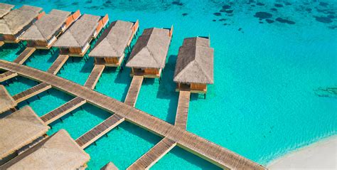 resort kudafushi resort spa  maldives arenatours uk