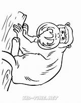 Monkey Coloring Tamarin Emperor Book Animals Skip sketch template